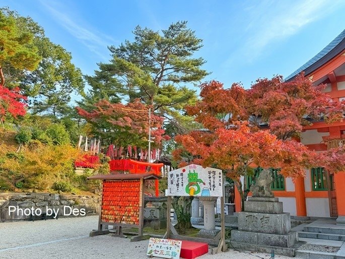 【遊記】日本．福岡．紅葉八幡宮(專屬於秋日象徵在神社感受紅葉