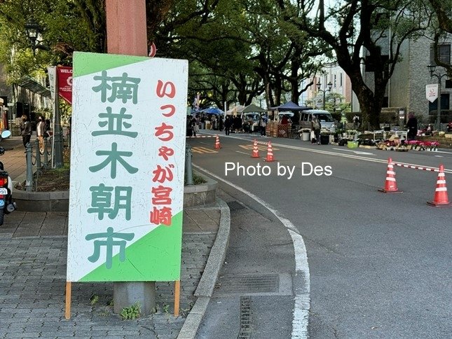 【遊記】日本．宮崎．楠並木朝市(宮崎縣廳前隱藏版的步行者天國