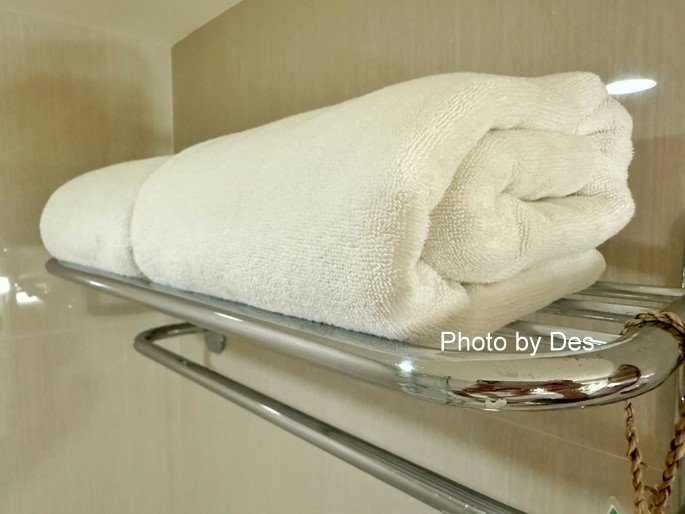 【宿記】泰國．曼谷．Silom Serene Hotel(十