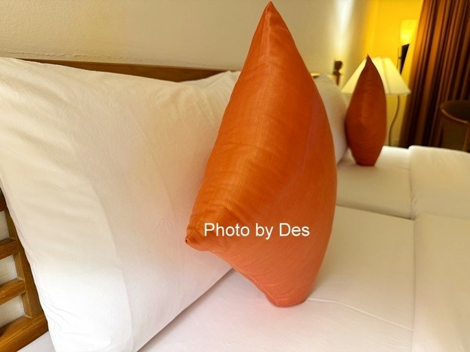 【宿記】泰國．曼谷．Silom Serene Hotel(十