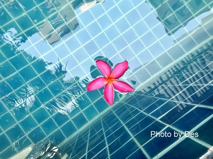 【宿記】泰國．曼谷．Silom Serene Hotel(十