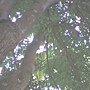 IMG_0117.JPG