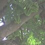 IMG_0125.JPG