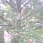 IMG_0112.JPG