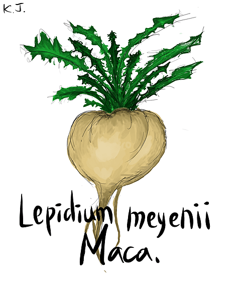 maca.png