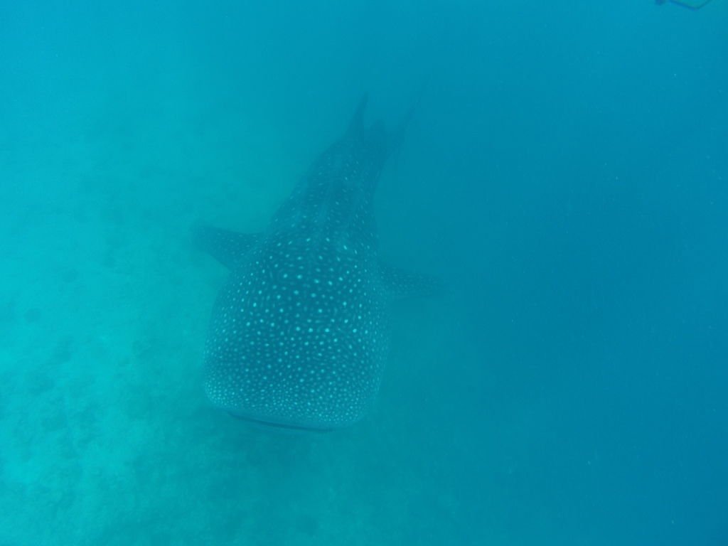 FILE0031.jpg