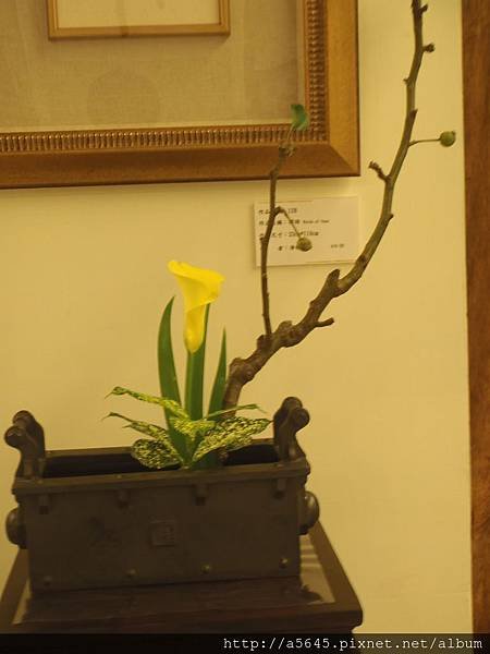 花藝