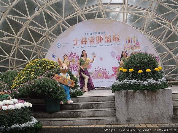P1010095.JPG