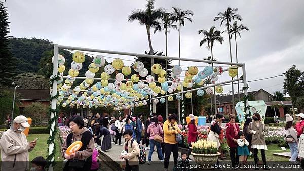 2024年士林官邸鬱金香花展