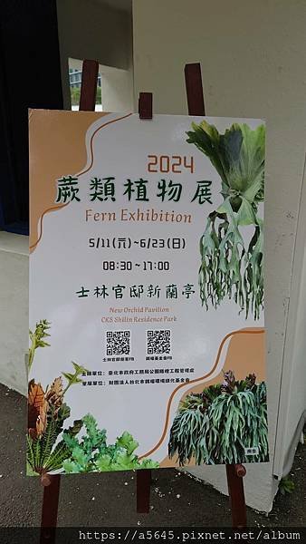 2024蕨類植物展