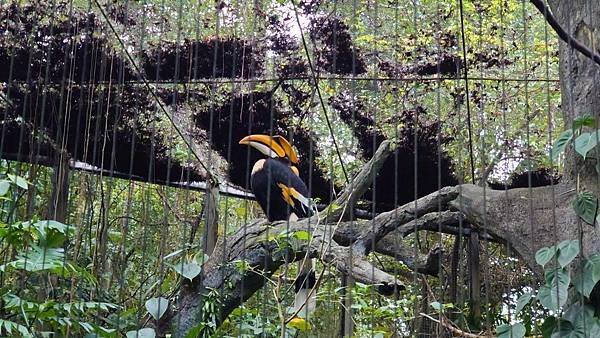 臺北市立木柵動物園