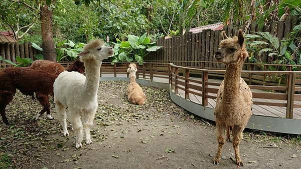 臺北市立木柵動物園