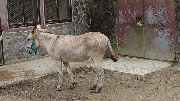 臺北市立木柵動物園