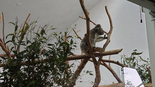 臺北市立木柵動物園