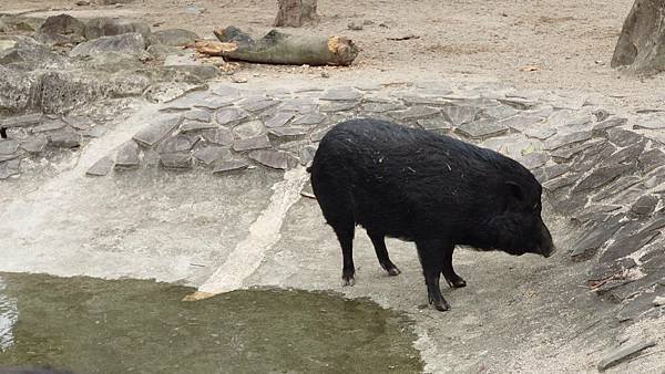 臺北市立木柵動物園