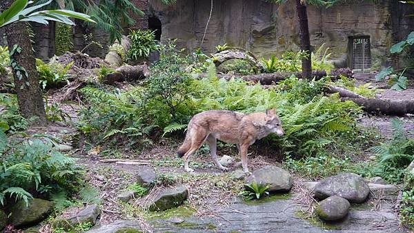 臺北市立木柵動物園