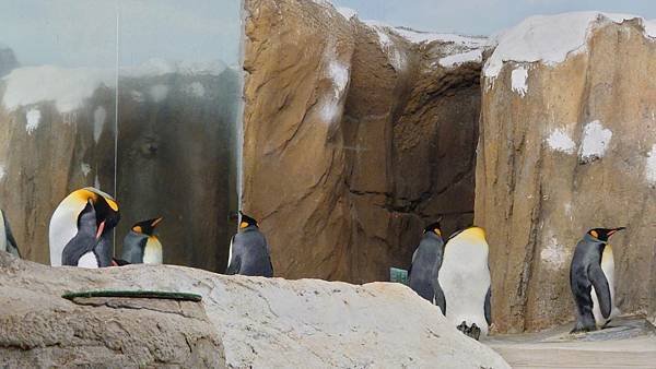 臺北市立木柵動物園