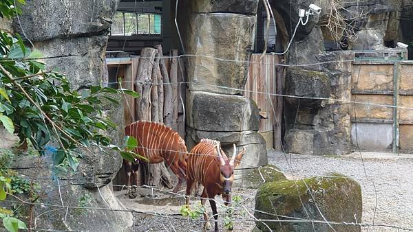 臺北市立木柵動物園