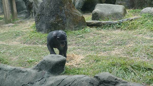 臺北市立木柵動物園