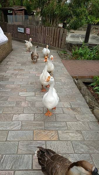 臺北市立木柵動物園