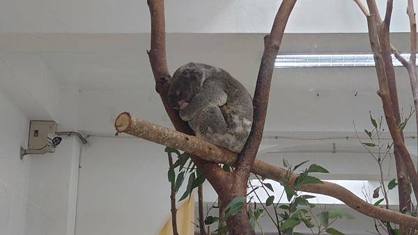 臺北市立木柵動物園