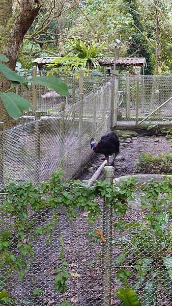 臺北市立木柵動物園