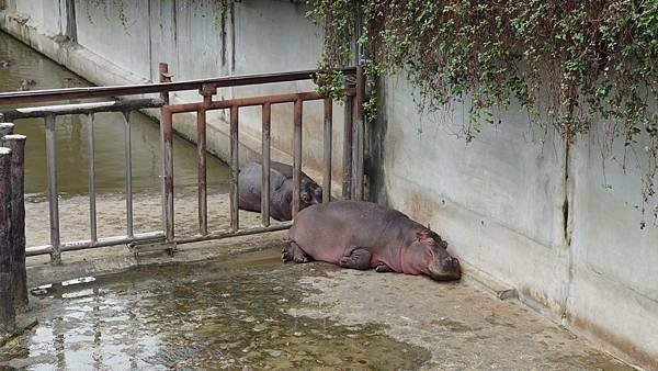 臺北市立木柵動物園