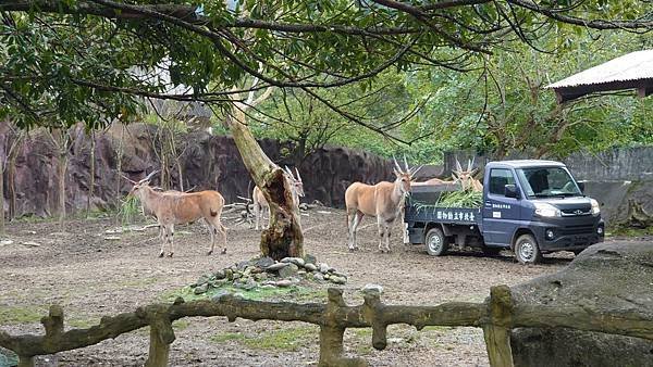 臺北市立木柵動物園