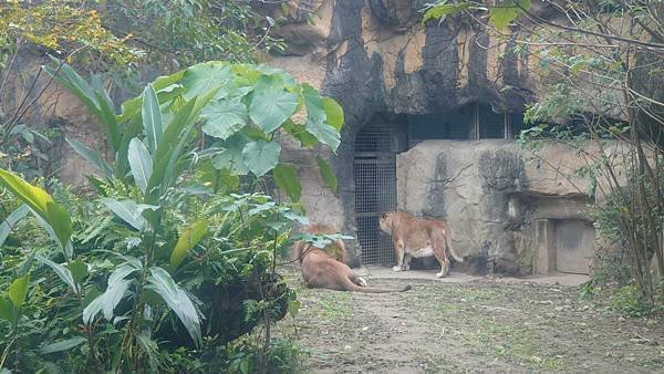 臺北市立木柵動物園