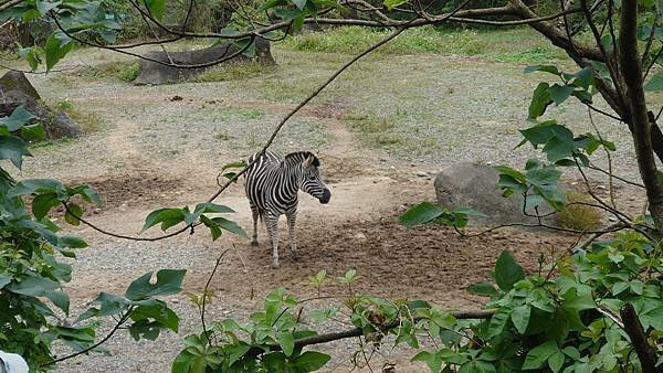 臺北市立木柵動物園