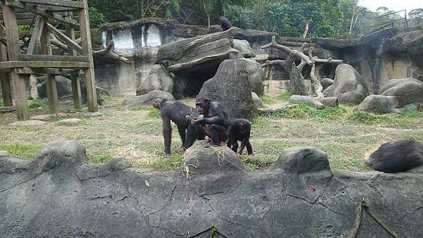 臺北市立木柵動物園