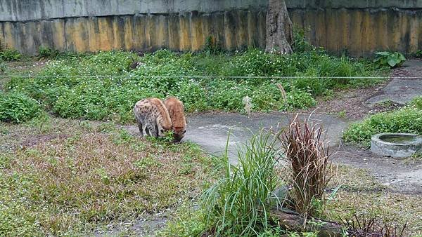 臺北市立木柵動物園