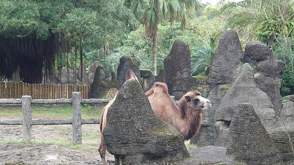 臺北市立木柵動物園