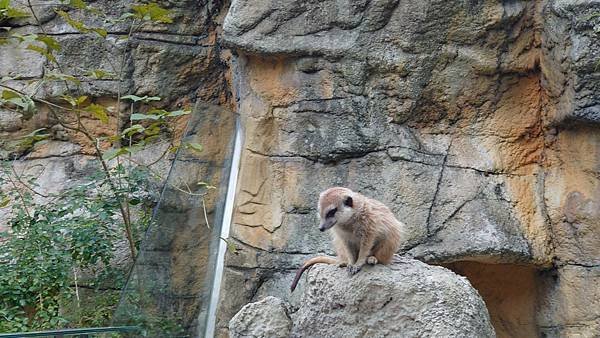 臺北市立木柵動物園