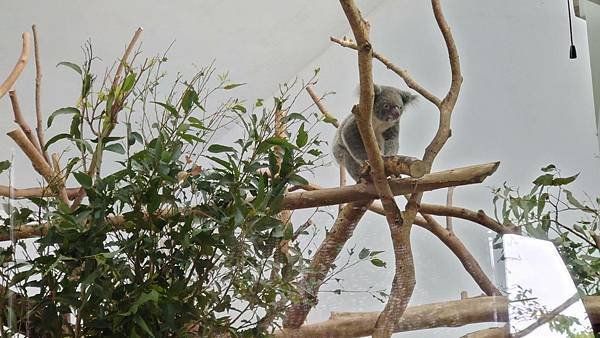 臺北市立木柵動物園