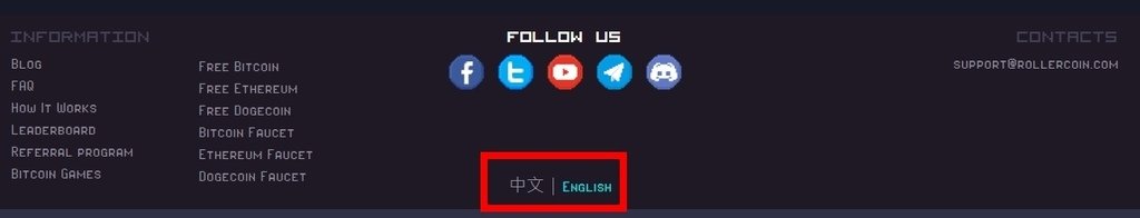 chinese or english.jpg