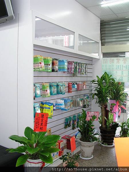 P1011187.jpg