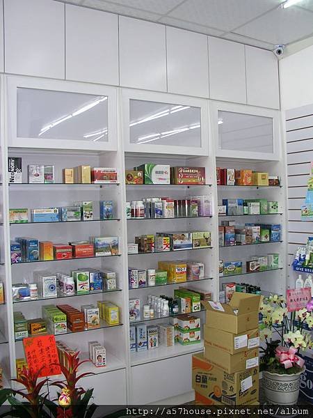 P1011186.jpg
