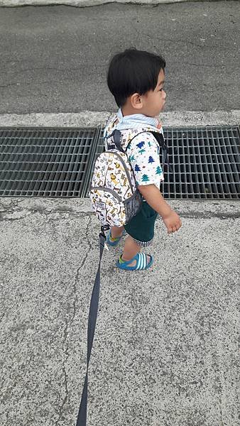 20160508_114634.jpg