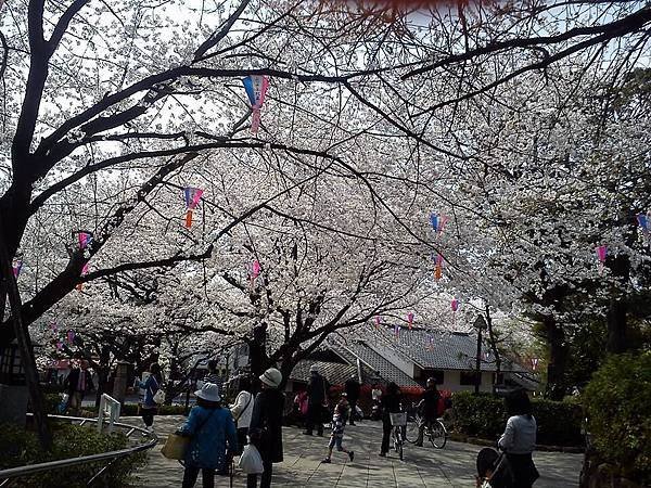 飛鳥山公園-4