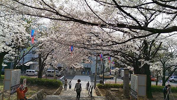 飛鳥山公園-6