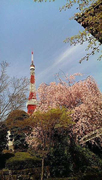 大本山 増上寺-3