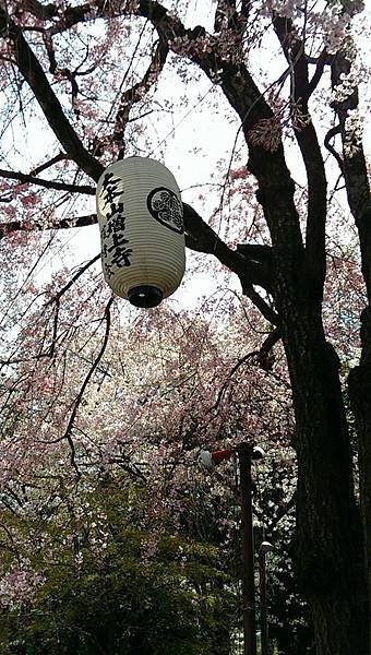 大本山 増上寺-1