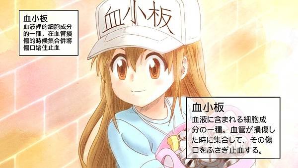 [Nekomoe kissaten][Hataraku Saibou][02][1080p][CHT].mp4_20221027_090838.401.jpg