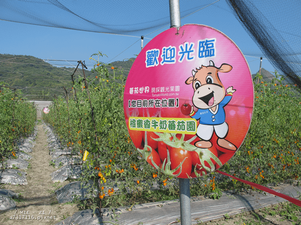 IMG_0447.png