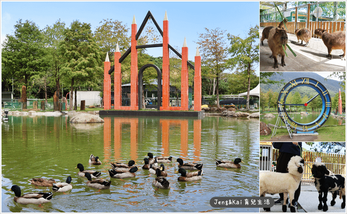 花蓮｜秀林－洄瀾灣休閒農場～可愛動物近距離餵食.水豚君.狐蒙