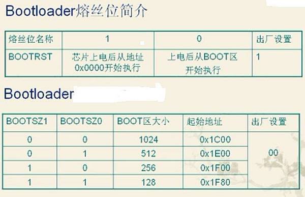 bootloader熔絲位.jpg