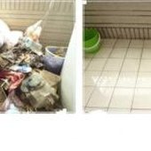 夫妻自工單樣照做新竹縣新竹市新豐房屋竹北湖口房屋中古屋壁癌油