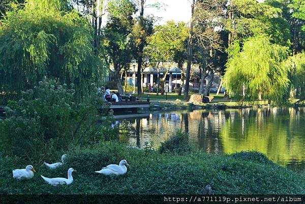 大湖公園