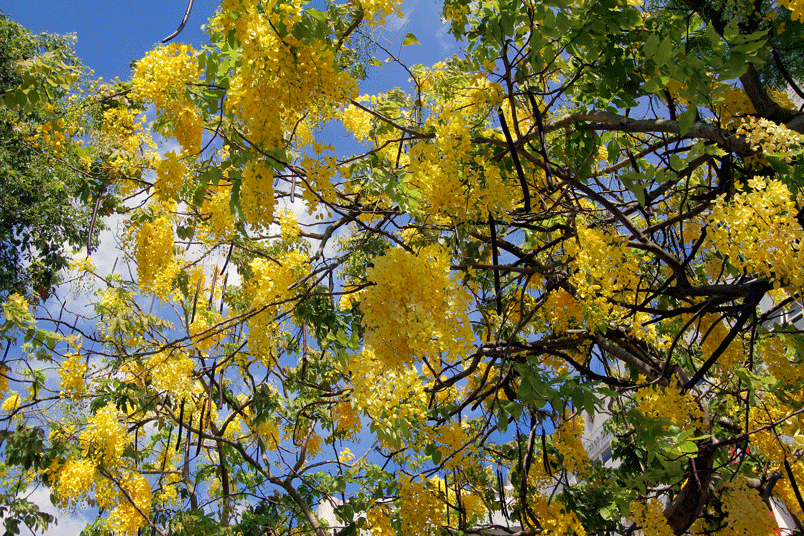 IMG_0534.gif